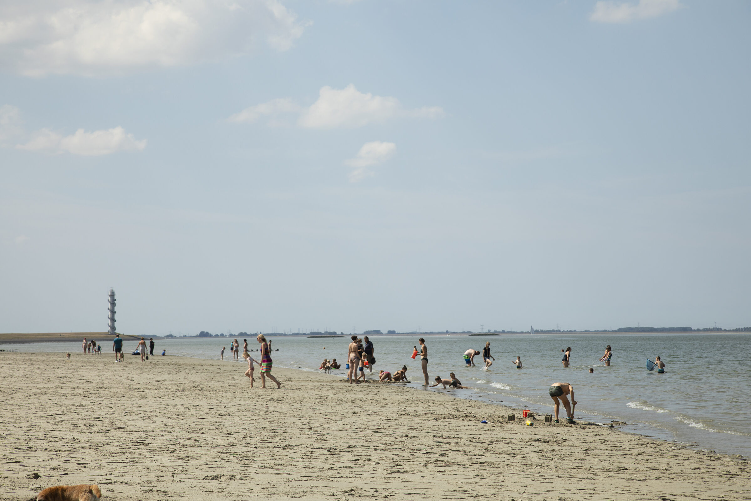 PFAS+in+Gronings+zwemwater+blijft+binnen+de+perken