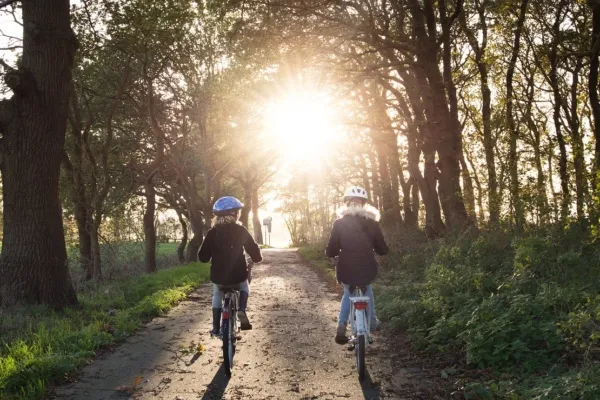 Kinderen op de fiets door het bos. De zon schijnt tussen de bomen door.